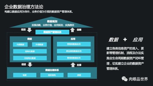 集团数据管控与数据治理 一体化解决方案与高效数据处理服务